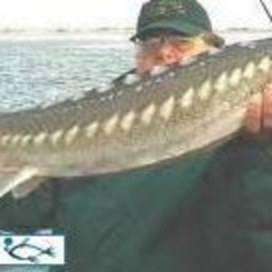 Meet your Posher, Paul